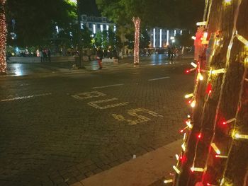 Illuminated christmas tree at night