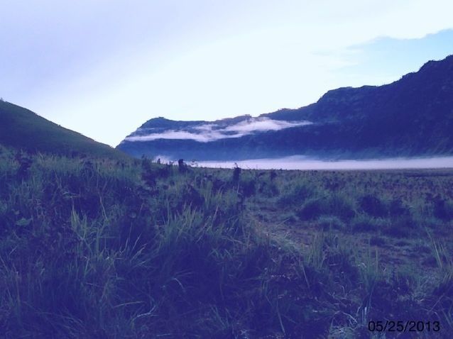 mountain, tranquil scene, tranquility, scenics, beauty in nature, mountain range, landscape, nature, sky, growth, tree, plant, non-urban scene, idyllic, day, remote, outdoors, field, no people, grass