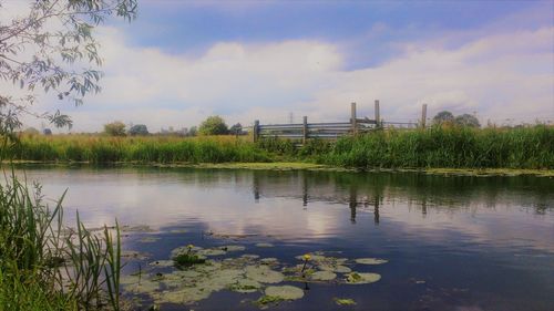 Scenic view of lake against sky