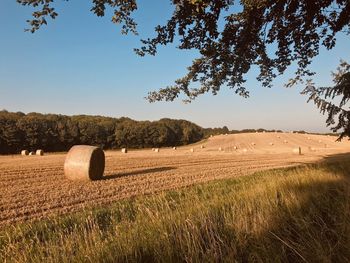 Hay bales on field against sky