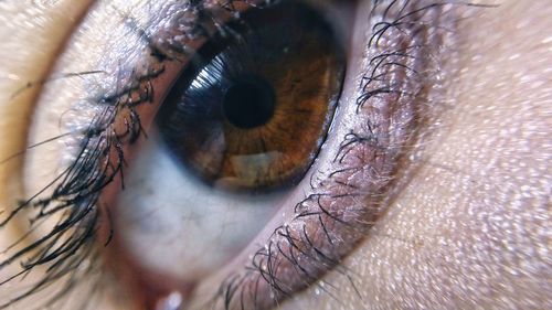 Close-up of human eye