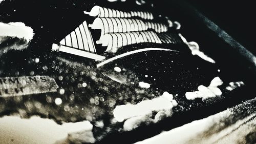 View of trees at night