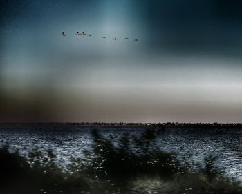 Birds flying over landscape against sky