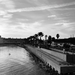 Scenic view of palm trees against sky