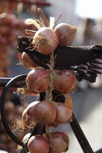 Close up of eggs