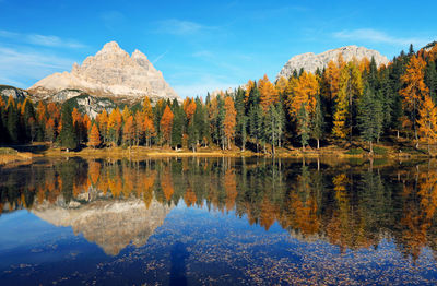 Scenic view of lake by trees during autumn