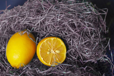 High angle view of oranges on plant