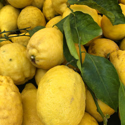 Full frame shot of fruits in market