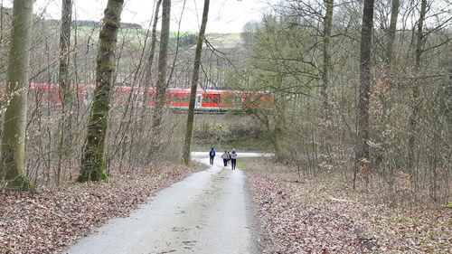 People walking on road