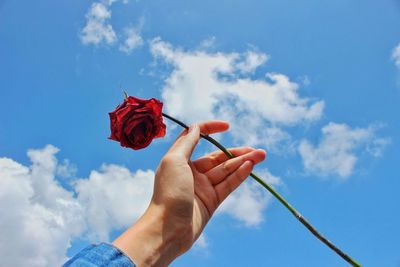 Low angle view of hand holding red rose against sky