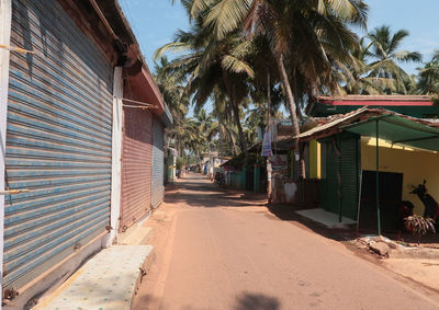 Houses by palm trees in city against sky