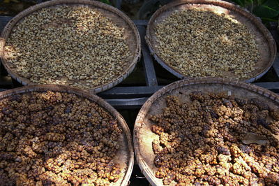 Coffee cherries, kopi luwak, which have been eaten and defecated by the asian civet