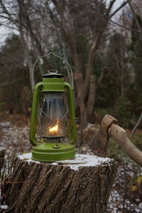 Close-up of illuminated lantern on tree trunk