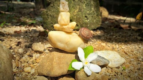 Close-up of pebbles on stone