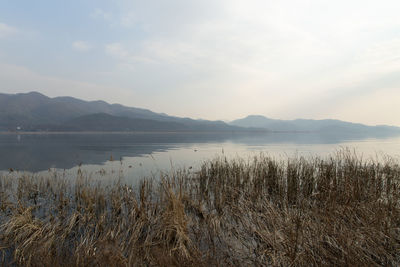 Scenic view of lake against sky