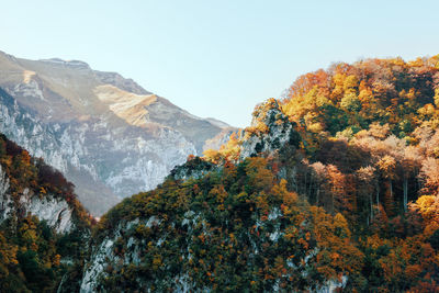 Scenic view of trees against sky during autumn