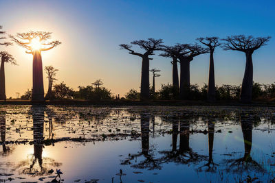 Reflection of built structures in water