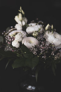 Close-up of white flowers in vase