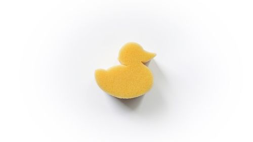 Close-up of stuffed toy over white background