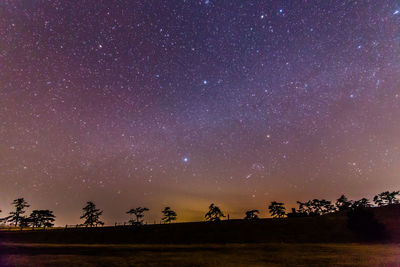 Meadow and starry sky