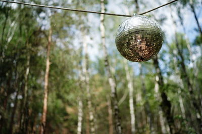 Low angle view of ball hanging on tree