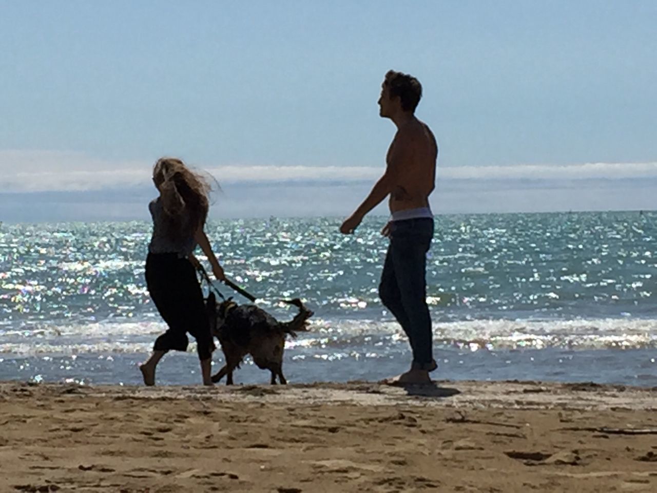 domestic animals, dog, pets, animal themes, mammal, sea, beach, one animal, water, full length, horizon over water, shore, lifestyles, sky, leisure activity, standing, sand, pet owner