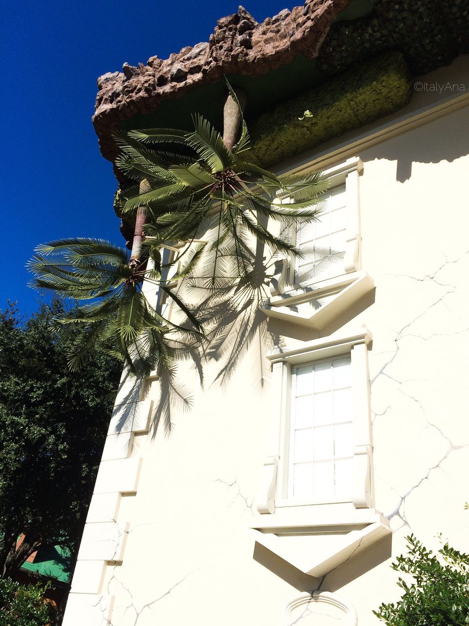 building exterior, built structure, architecture, low angle view, clear sky, house, tree, blue, sunlight, window, day, no people, growth, outdoors, plant, roof, shadow, entrance, nature, religion