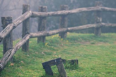 Wooden fence on field in forest