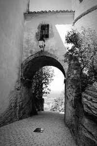 Archway amidst trees against sky