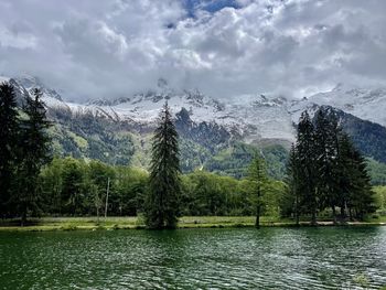 Scenic view of lake by trees against sky