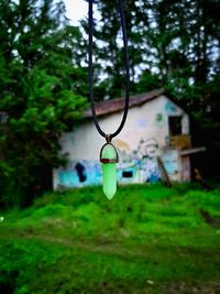 Close-up of lighting equipment hanging on tree in park