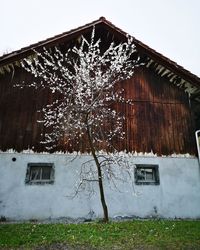 Bare tree and house against sky during winter