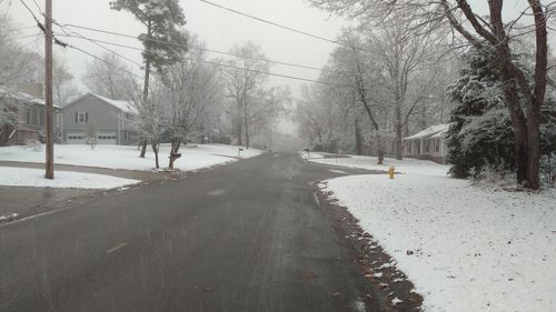 Snow covered road amidst trees in city
