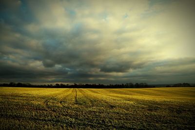 Scenic view of field against cloudy sky