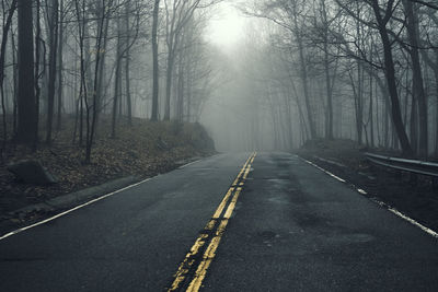 Empty road in forest