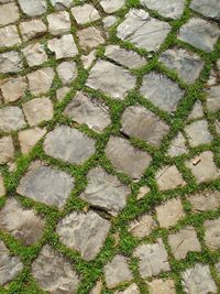 Full frame shot of tiled floor