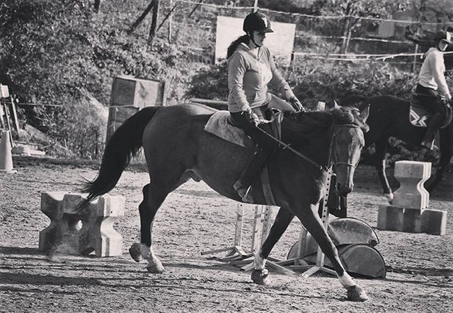 horse, animal themes, working animal, domestic animals, men, livestock, mammal, full length, transportation, standing, one animal, sunlight, herbivorous, lifestyles, day, rear view, outdoors, built structure, bridle