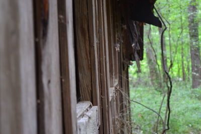 Close-up of abandoned wooden house