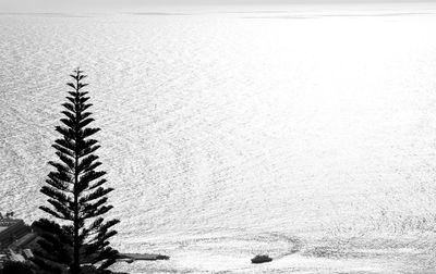 Close-up of snow on land