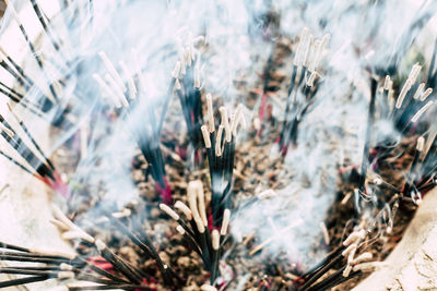 High angle view of burning incense