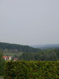 Scenic view of field against clear sky