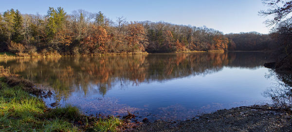 Scenic view of lake by trees against sky