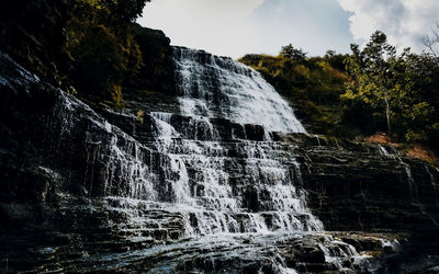 Low angle view of waterfall in forest