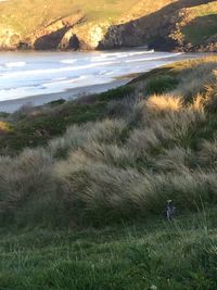 Scenic view of beach