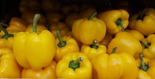 Close-up of yellow bell peppers for sale at market stall