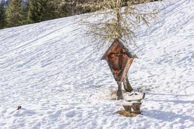 Dolomites. winter between ice and snow. tre scarperi refuge. on the way to the tre cime di lavaredo