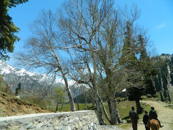 Bare trees on landscape against sky