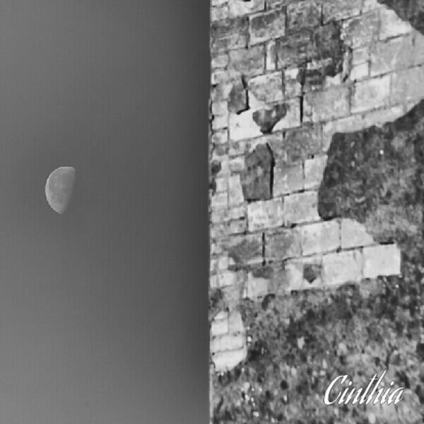 LOW ANGLE VIEW OF STONE WALL AGAINST SKY