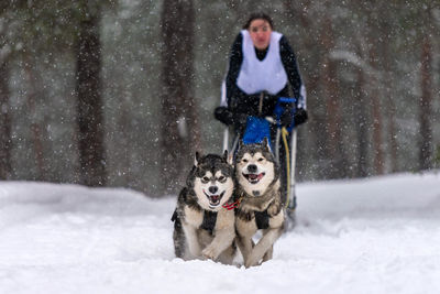 Man with dog on snow