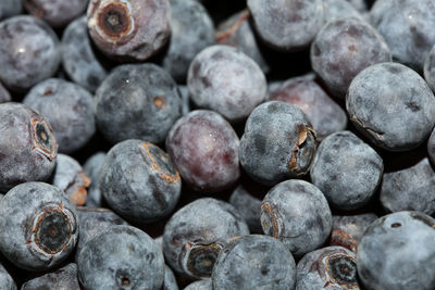 Full frame shot of blueberries